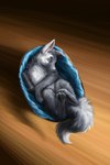 eyes_closed feral floppy_ears fluffy fluffy_tail fur grey_body grey_fur pawpads quadruped sleeping tail elkir canid canine canis mammal wolf hi_res