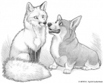 ambiguous_gender duo feral open_mouth simple_background smile stare tail teeth tongue tongue_out hkluterman kyoht_luterman brett_(bdever) canid canine canis domestic_dog fox herding_dog mammal pastoral_dog welsh_corgi erin_(disambiguation) 2013 greyscale monochrome traditional_media_(artwork)