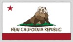 2_heads anthro bear belly bethesda_softworks big_breasts biped border breasts brown_bear brown_body california_flag catherine_(mexifurfoof) curvy_figure digital_drawing_(artwork) digital_media_(artwork) english_text fallout fallout_nv featureless_breasts female flag flag_(object) fur grey_border hair mammal mexifurfoof multi_head ncr_(fallout) nude overweight overweight_female parody simple_background smile solo text thick_thighs ursine voluptuous wide_hips