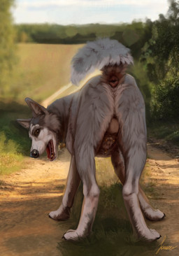 animal_genitalia animal_penis anus backsack balls bodily_fluids butt canine_genitalia canine_penis collar collar_only collar_tag feral fully_sheathed furgonomic_piercing furgonomics genital_fluids genital_piercing genitals gold_(metal) gold_tooth knot lipsticking looking_at_viewer male nude penis penis_piercing penis_tip piercing presenting presenting_hindquarters prince_albert_piercing raised_tail sheath sheath_piercing solo standing tail tongue fokker_(artist) rog_(rogulus) canid canine canis mammal wolf absurd_res digital_media_(artwork) hi_res