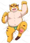 anthro asian_clothing belly blush bulge clothing east_asian_clothing fundoshi humanoid_hands japanese_clothing kemono lying male moobs navel nipples overweight overweight_anthro overweight_male pink_nose solo teeth underwear 5groo5 felid mammal pantherine tiger 2020 hi_res