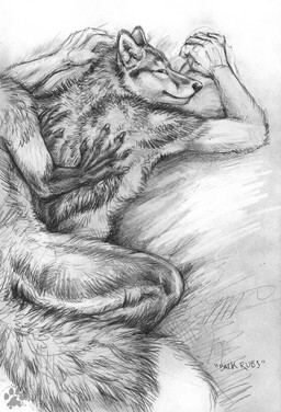5_fingers anthro backrub claws duo finger_claws fingers fur kneeling looking_at_viewer looking_back looking_back_at_viewer lying male male/male massage on_front partially_offscreen_character pointy_ears prick_ears tail blotch canid mammal 2012 hi_res monochrome traditional_media_(artwork)