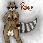 anthro balls big_breasts breasts erection fur genitals gynomorph humanoid_genitalia humanoid_penis intersex masturbation navel nipples nude penile penile_masturbation penis simple_background smile smirk solo blackbetty roxie_raccoon canid canine mammal procyonid raccoon 1:1 hi_res