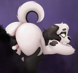 adult_on_young age_difference anthro anus ass_up ball_suck balls big_butt black_body black_ears black_fur black_nose black_tail burnt butt claws duo fellatio fur genitals green_eyes hair hand_on_leg leg_grab male male/male multicolored_body multicolored_fur oral penile rear_view sex size_difference small_balls sucking tail teeth thick_thighs three-quarter_view tongue tongue_out two_tone_body two_tone_fur two_tone_tail white_body white_fur white_hair white_tail young young_anthro young_male sinood1e donny_(nood1e) beagle canid canine canis domestic_dog hunting_dog mammal mixed_breed scent_hound springer_spaniel 2025 digital_media_(artwork) hi_res