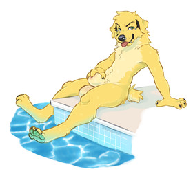 animal_genitalia anthro balls bedroom_eyes blep canine_genitalia cheek_tuft chest_tuft detached_sheath facial_piercing facial_tuft fingering fully_sheathed fur genitals green_pawpads half-closed_eyes inviting lip_piercing male narrowed_eyes neck_tuft nose_piercing nose_ring nude pawpads paws piercing poolside ring_piercing seductive sheath sheath_fingering sheath_play smile smirk smug smug_face snakebite_piercing solo tan_body tan_fur tongue tongue_out tuft yellow_body yellow_fur yellow_sheath kingparked nao_o'connor bird_dog canid canine canis domestic_dog golden_retriever hunting_dog mammal retriever