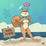 anthro beach breasts brown_body brown_fur buckteeth female flower flower_cloud_(spongebob) fur genitals nipples nude nude_beach pink_flower plant pussy sign solo teeth underwater water unclescooter nickelodeon spongebob_squarepants sandy_cheeks mammal rodent sciurid tree_squirrel