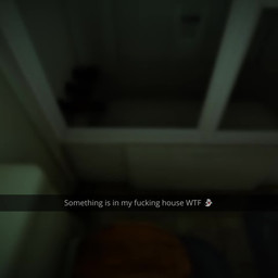 against_surface anthro bodily_fluids bone doggystyle duo female from_behind_position genital_fluids glowing glowing_eyes hands_against_glass heart_eyes heart_symbol looking_at_viewer male male/female on_glass sex shower shower_sex skull teasing vaginal_fluids wet mikiyani scp_foundation scp-1471-a scp-1471-a_(cumminham) animated hi_res short_playtime webm