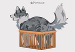 ambiguous_gender anus basket container eyes_closed feral fur grey_background grey_body grey_fur open_mouth pink_nose simple_background solo x_anus yinglizi canid canine mammal absurd_res hi_res