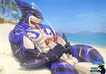 2_penises 4_fingers abs anthro balls beach bodily_fluids cum cum_on_body cum_on_face cum_on_self cumshot detailed_background diphallism ejaculation fingers genital_fluids genitals gills humanoid_genitalia humanoid_penis lying male multi_genitalia multi_penis muscular muscular_male nipples nude outside penis scar sharp_teeth solo teeth text tongue tongue_out todex xxl_woofia captain_locke_(xxl_woofia) aquatic fish shark hi_res url