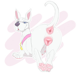 animal_genitalia animal_vulva anus blue_eyes butt canine_genitalia canine_vulva collar feet female feral fur genitals hair hindpaw looking_at_viewer looking_back multi_nipple nipples nude open_mouth pawpads paws pink_anus pink_nipples pink_vulva presenting raised_tail simple_background smile solo tail tail_anus vulva white_body backsash hanna-barbera scooby-doo_(series) scooby-dee canid canine canis domestic_dog great_dane mammal mastiff molosser 2025 digital_media_(artwork) hi_res