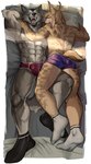 abs anthro biceps bulge clothed clothing duo male male/male muscular muscular_male pecs sleeping topless underwear kolemus pylon_(dangerpylons) canid canine canis felid feline lynx mammal wolf hi_res