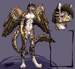 abs animal_genitalia anthro balls beak claws fully_sheathed genitals male markings sheath solo spots spotted_markings tail tail_tuft tuft wings clovie22 mythology avian felid feline gryphon hybrid mammal mythological_avian mythological_creature absurd_res hi_res model_sheet