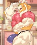 anthro barazoku beard blonde_hair body_hair bulge clothing facial_hair hair horn jockstrap kemono male muscular muscular_male shirt side_view tail topwear underwear istani undertale_(series) asgore_dreemurr mammal 2025 hi_res