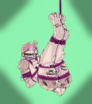 anthro anus arms_tied balls bdsm blindfold bodily_fluids body_writing bondage bound buckteeth butt chastity_cage chastity_device cum cum_in_ass cum_in_mouth cum_inside cum_on_face degradation digitigrade feet foot_fetish foot_lick foot_play free_use fur gag genital_fluids genitals hair hindpaw legs_tied licking male nude open_anus open_mouth oral paws penis public_use restraints ring_gag rope rope_bondage rope_harness scut_tail short_tail simple_background slut_collar smile solo submissive submissive_male tail teeth tongue footmittens lagomorph leporid mammal rabbit digital_media_(artwork) hi_res
