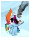 animal_genitalia animal_penis bite duo equine_genitalia equine_penis fangs female feral genitals imminent_fellatio imminent_oral male male/female motion_blur penis teeth uhoh wings earth_pony_colds friendship_is_magic hasbro my_little_pony mythology rainbow_dash_(mlp) equid equine horse mammal mythological_creature mythological_equine pegasus pony absurd_res hi_res lol_comments meme