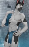 anthro athletic athletic_anthro athletic_male bottomwear buckteeth bulge clothed clothing fur hand_on_hip inside loincloth loincloth_only looking_at_viewer male mostly_nude multicolored_body multicolored_fur no_underwear shower shower_head solo teeth topless towel towel_on_shoulder two_tone_body two_tone_fur refegi lagomorph leporid mammal rabbit absurd_res hi_res