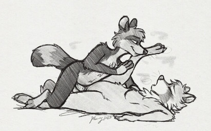 4_toes 5_fingers anthro anthro_on_anthro anthro_penetrated anthro_penetrating anthro_penetrating_anthro breasts butt duo fangs feet female female_penetrated fingers fur genitals hindpaw humanoid_hands lying male male/female male_penetrating male_penetrating_female markings nude nude_anthro nude_female nude_male on_back paws penetration penile penile_penetration penis penis_in_vagina raised_leg ring_(marking) ringed_tail sex striped_markings striped_tail stripes tail tail_markings teeth toes vaginal vaginal_penetration vulva snowy18 rita_(urbansaint) snickers_(urbansaint) mammal procyonid raccoon 2025 dated digital_drawing_(artwork) digital_media_(artwork) greyscale hi_res monochrome signature