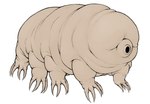 ambiguous_gender claws colored dreamscreep earless eyeless feral hi_res multi_limb octoped simple_background solo tan_body tardigrade toe_claws white_background wrinkles