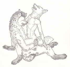 anal anal_penetration anthro anthro_on_anthro cigarette claws duo eyes_closed fluffy from_front_position genitals gloves_(marking) leg_markings looking_pleasured male male/male male_penetrated male_penetrating male_penetrating_male markings mastery_position open_mouth pawpads penetration penis sex simple_background sitting socks_(marking) toe_claws tongue tongue_out skyfifer canid canine fox hyena mammal spotted_hyena greyscale hi_res monochrome