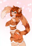 anthro braided_hair clothing female garter_straps hair legwear lingerie solo stockings translucent translucent_clothing vincher malina_(athiesh) domestic_cat felid feline felis mammal tabby_cat hi_res