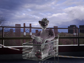abandoned_building anthro balcony cloud cloudy_sky concrete concrete_floor construction_site day forest_background light male open_mouth outside plant railing shopping_cart sitting sky solo sunlight tape tree suharik felid mammal pantherine snow_leopard 3d_(artwork) digital_media_(artwork) hi_res