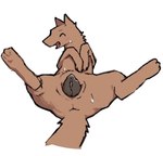 animal_genitalia animal_vulva brown_body brown_fur canine_genitalia canine_vulva female feral fur genitals plump_labia simple_background solo spread_legs spreading vulva white_background angra canid canine canis mammal