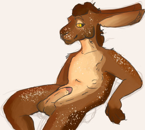 anthro erection freckles genitals humanoid_genitalia lounging male nude relaxing solo hare lagomorph leporid mammal rabbit