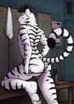 anthro balls bench biped bulge butt clothed clothing fur genitals hair leucistic locker locker_room looking_at_viewer looking_back male on_bench presenting presenting_hindquarters raised_tail rear_view solo tail thong topless underwear d3mo felid mammal pantherine tiger 2017 hi_res