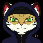 angry anthro clothing green_eyes hat headgear headwear hoodie male solo topwear wool_clothing wool_hat wool_headwear cyberrodrigo rodrigo_(cyberrodrigo) felid feline leopardus mammal ocelot 1:1 alpha_channel