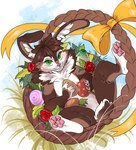 anthro basket blush bow_ribbon brown_body brown_fur chest_tuft container easter_egg egg flower fur green_eyes holding_egg holding_object holidays lying male neck_tuft on_back painted_eggs pawpads plant rose_(flower) smile solo tail tuft white_body white_fur young young_male gimka easter cinna_(crimsir) lagomorph leporid mammal rabbit hi_res adult_(lore)