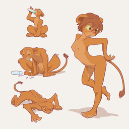 anthro anthrofied arched_back bodily_fluids breasts drinking drooling female female_anthro female_feral feral feral_to_anthro flat_chested front_view fur genitals hands_behind_back holding_object loli looking_at_self multicolored_body multicolored_fur nipples nude potion progression saliva semi-anthro simple_background small_breasts solo standing tan_body tan_fur transformation transformation_potion two_tone_body two_tone_fur vulva white_background young young_anthro young_female young_feral kimirera disney the_lion_king nala_(the_lion_king) felid lion mammal pantherine 1:1 2021 sequence