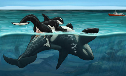 anal anal_penetration anatomically_correct anatomically_correct_genitalia anatomically_correct_penis animal_genitalia animal_penis anthro anthro_on_feral anthro_penetrated anus bestiality boat bodily_fluids bubble cetacean_genitalia cetacean_penis cum duo erection eyes_closed feral feral_penetrating feral_penetrating_anthro from_front_position genital_fluids genital_slit genitals larger_male lying male male/male male_on_bottom male_on_feral male_on_top male_penetrated male_penetrating male_penetrating_male nude on_back on_bottom on_top partially_submerged penetration penis precum reverse_missionary_position sex size_difference smaller_male straddling tapering_penis upside_down vehicle water watercraft wet ssthisto_(artist) aquatic cetacean dolphin mammal oceanic_dolphin orca toothed_whale