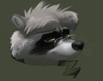 anthro eyewear glasses male solo conditional_dnp jonas jonas_(character) mammal procyonid raccoon 2013