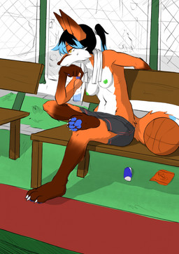 anthro athletic athletic_female ball basketball basketball_(ball) basketball_court bench blue_hair bottle bottomwear breasts chin_on_paw clothed clothing container exposed_breasts female hair looking_away orange_body pawpads ponytail shorts solo topless topless_female towel towel_around_neck water_bottle yellow_eyes chidiao simone_parker canid canine fox mammal hi_res