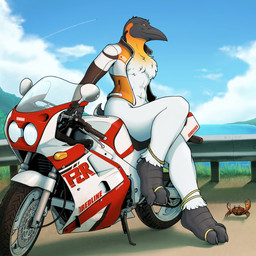 anthro barefoot beak chest_tuft claws clothed clothing detailed_background digit_ring feet female grass jacket jewelry looking_aside motorcycle outside partially_clothed plant ring sea sitting sky smile solo text toe_ring toes topwear tuft vehicle water corrsk yamaha_motor_corporation olivia_(corrsk) arthropod avian bird crab crustacean decapod emperor_penguin malacostracan penguin 1:1 english_description english_text hi_res