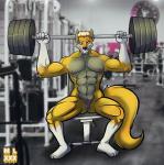 anthro balls erection exercise genitals gym male micropenis muscular muscular_anthro muscular_male nipples penis small_balls small_penis solo workout mlock blake_gibson canid canine canis mammal wolf absurd_res hi_res