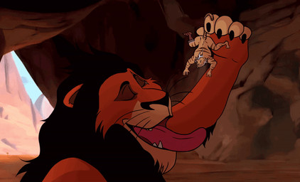 anthro anthro_prey black_hair duo fur hair male male_pred male_prey micro neck_bulge oral_vore orange_body orange_fur size_difference tongue tongue_out vore algaroo disney the_lion_king scar_(the_lion_king) felid lion mammal pantherine tiger 2024 2d_animation animated frame_by_frame