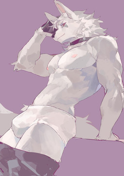 anthro areola athletic athletic_anthro athletic_male black_nose bottomwear bottomwear_down briefs bulge clothed clothing collar fur grey_body grey_fur kemono looking_at_viewer male nipples pants pants_down partially_clothed side_view simple_background solo tail topless topless_anthro topless_male tuft underwear viosgit canid mammal 2025 hi_res