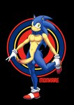 anthro balls big_penis erection genitals glans huge_penis male mostly_nude navel pecs penis solo kareca sega sonic_the_hedgehog_(series) sonic_the_hedgehog eulipotyphlan hedgehog mammal