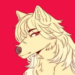 anthro blonde_hair eyebrow_through_hair eyebrows female fluffy fur hair long_hair looking_at_viewer red_background red_eyes simple_background solo translucent translucent_hair yellow_body yellow_fur runelocks canid canine canis mammal wolf 1:1 bust_portrait portrait