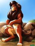 black_nose brown_body brown_fur brown_mane detailed_background feral fur grass green_eyes lighter_belly male mane mouth_closed plant rock scar sitting solo sunny tail whiskers noki001 disney the_lion_king kovu_(the_lion_king) felid feline lion mammal pantherine hi_res