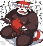 anthro balls belly big_belly black_nose blush bodily_fluids brown_body cum cum_on_ground cum_on_hand genital_fluids genitals humanoid_genitalia humanoid_hands humanoid_penis kemono male moobs navel nipples outie_navel overweight overweight_male penis red_body solo tears text young ptcmtr lifewonders tokyo_afterschool_summoners zhurong_(tas) ailurid mammal red_panda 2022 hi_res japanese_text translation_request