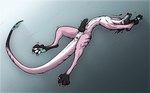 anthro anus erection genitals knot male paws penis slim solo stretching visor shadarrius lizard reptile scalie hi_res