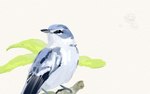 beak black_beak black_body black_feathers blue_body blue_feathers branch cerulean_warbler feathers feral leaf male simple_background solo trollface white_body white_feathers obelisk398 avian bird oscine passerine warbler meme tagme