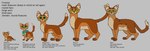 absurd_res adolescent age_chart age_progression ambiguous_gender baby bell bell_collar blue_collar chart child collar countershade_fur countershading domestic_cat elderly_ambiguous elderly_feral english_text feet felid feline felis feral firestar_(warriors) fur green_eyes grey_background hi_res male_(lore) mammal markings model_sheet nifty-senpai old orange_body orange_fur oversized_collar paws quadruped simple_background solo standing tagging_guidelines_illustrated tail text warriors_(book_series) young young_ambiguous young_feral