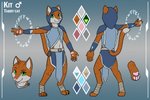 anthro armor belt belt_buckle bottomwear bracers buckle clothing coin_purse costume crystal feet foot_wraps fur green_eyes hood loincloth magic magic_user male orange_body orange_fur pawpads runes solo wraps linkscape kit_blackstone domestic_cat felid feline felis mammal tabby_cat model_sheet