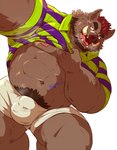 anthro bodily_fluids bottomwear brown_body bulge clothed clothing clothing_lift humanoid_hands kemono male musclegut muscular musk nipples pubes rugby rugby_uniform shirt shirt_lift shorts simple_background solo sweat topwear raichoclub mammal suid suine sus_(pig) wild_boar 2023 hi_res