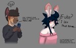 anthro blue_hair duo furro hair i_like_this_name_(meme) lore male me_gusta_ese_nombre_(meme) text uke white_body fiuke fiuke_bnuy hyena lagomorph leporid mammal rabbit absurd_res digital_drawing_(artwork) digital_media_(artwork) digital_painting_(artwork) hi_res meme male_(lore)