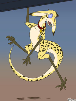 alternate_species anthro collar collar_only countershading looking_up male markings nude open_mouth simple_background solo spots spotted_body white_body white_countershading halcy0n out-of-placers sheetah felid hybrid leopard mammal pantherine yinglet 2021 3:4 hi_res