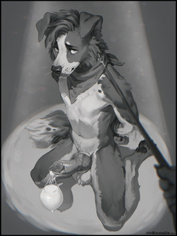 after_sex animal_genitalia animal_penis anthro arms_tied ball_tuft balls bdsm black_border bodily_fluids bondage border bound canine_genitalia canine_penis collar condom cum erection filled_condom first_person_view genital_fluids genitals hands_behind_back kerchief kneeling knot knotted_penis leash leash_pull looking_at_viewer male male_anthro neckwear neckwear_only nude penis sexual_barrier_device solo spotlight tuft kounalix dizfoley border_collie canid canine canis collie domestic_dog herding_dog mammal pastoral_dog sheepdog 3:4 hi_res
